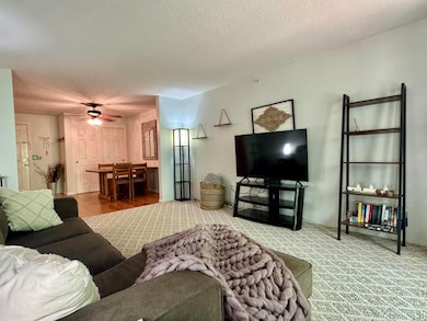 19 Saco St unit 59, Center Conway, NH 03813 - photo 7