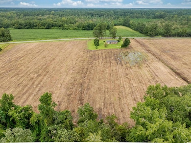 TBD Lot B4 Mount Olive Church Rd, Nichols, SC 29581 - photo 6