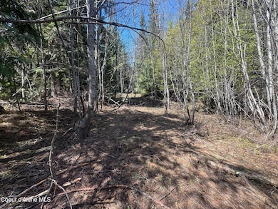 NNA Upper Manley Creek Rd West Lot, Laclede, ID 83841 - photo 6