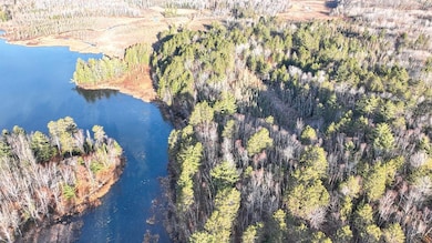 9335 Little Bearskin Creek Rd, Harshaw, WI 54529 - photo 3