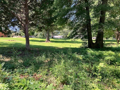 702 S 12th Ave, Piggott, AR 72454 - photo 7