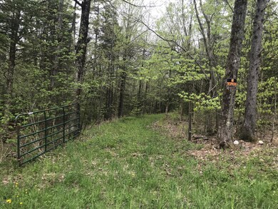 40 Acres