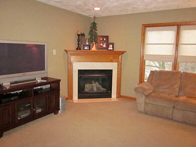 Family Room. Corner gas fireplace. Newer carpeting