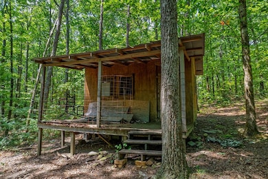 18 ACRES S Piney Spur Rd, Ellijay, GA 30536 - photo 3