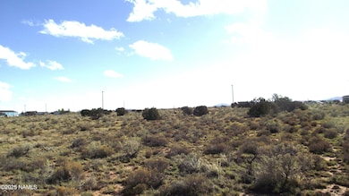 4620 S First Ave, Valle, AZ 86046 - photo 3