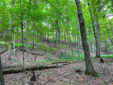 47/7 Do Rd unit Lot WP001, Harrisville, WV 26362 - photo 7