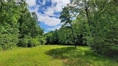 2243 Damascus Rd, Ball Ground, GA 30107 - photo 6