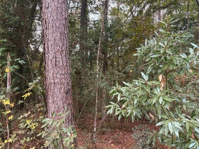 TBD Magnolia Duke Dr, Livingston, TX 77351 - photo 6