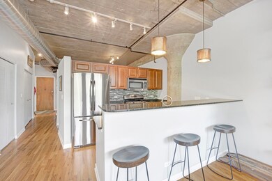 1111 W 15th St unit 224, Chicago, IL 60608 - photo 4