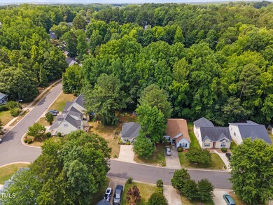 07-DJI_0231