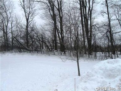 Yard/Garden