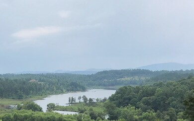 Additional View