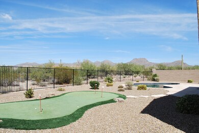 backyard 1