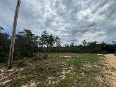 0 NE 135th St unit MFROM709418, Salt Springs, FL 32134 - photo 2