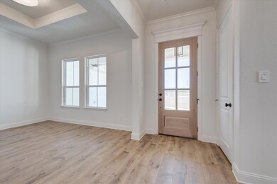 1057 Monaco Ct, Springtown, TX 76082 - photo 6