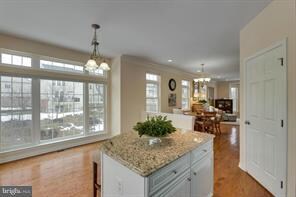 25110 Neptune Terrace, Chantilly, VA 20152 - photo 5