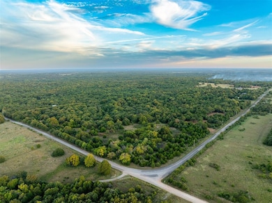 Drone / aerial view with a wooded view