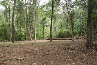 Creek Front Clearing