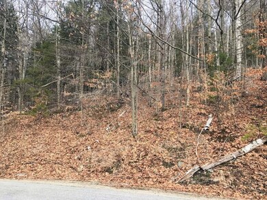 0 Chalk Pond Rd unit 1 4944686, Newbury, NH 03255 - photo 6
