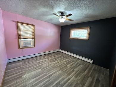 218 S Pine St, Pana, IL 62557 - photo 4