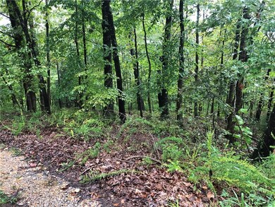 0 Selborne Ln unit 1187479, Bella Vista, AR 72714 - photo 2