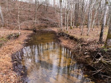 0 Shelter Branch Rd, Cumberland Furnace, TN 37051 - photo 3