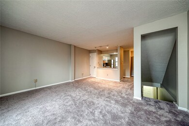 17x16 Living room/dining room combo.  New carpet a