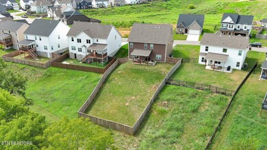 12632 Izzy Mule Ln, Knoxville, TN 37932 - photo 7