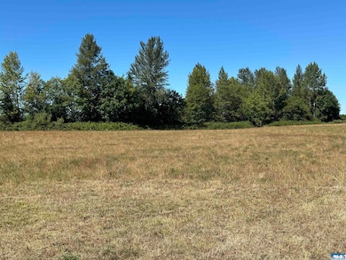 NKA Taylor Ranch Rd, Sequim, WA 98382 - photo 5