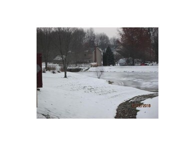 View of the pond from the rear deck - more like a 