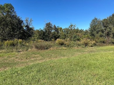 0 Highway 82, Sumner, GA 31789 - photo 4