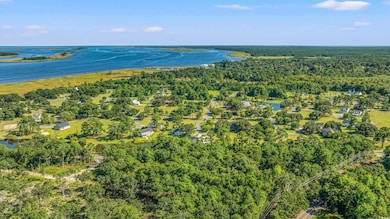 3680 South Island Rd, Georgetown, SC 29440 - photo 2