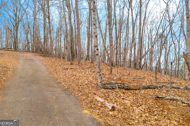 0 Douglas Fir Dr unit 10450306, Cleveland, GA 30528 - photo 7