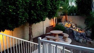 Backyard 3