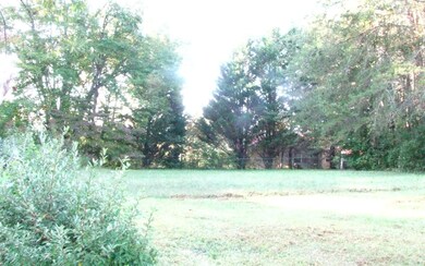 Additional View