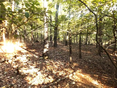 002-07543-000 Antler Pass, Henderson, AR 72544 - photo 7