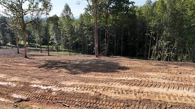 9999 Gibson Ln unit Lot 6, Williamsburg, KY 40769 - photo 4