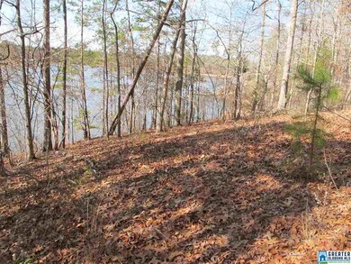 0 County Road 256 unit 773940, Wedowee, AL 36278 - photo 3