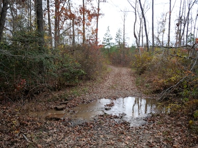 0 Tennessee 108, Altamont, TN 37301 - photo 4