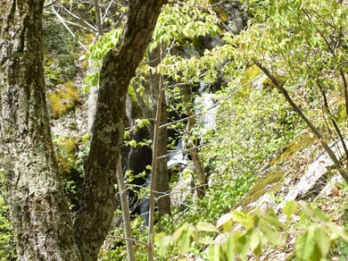 TBD Beech Grove Rd unit 644, Roseland, VA 22967 - photo 6