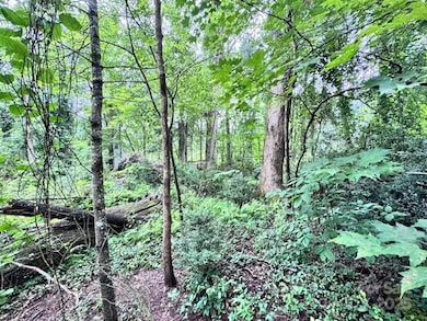 0 Glengary Dr unit 79, Flat Rock, NC 28731 - photo 7