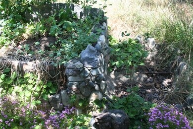 Pond area