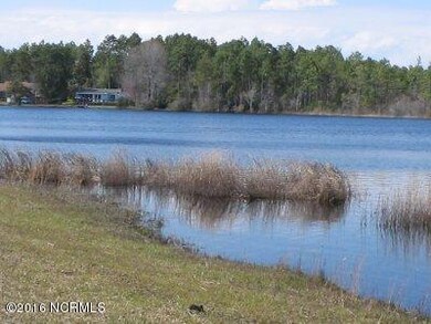 boilingspringlakes2