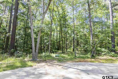 5908 Brixworth Dr, Tyler, TX 75703 - photo 6