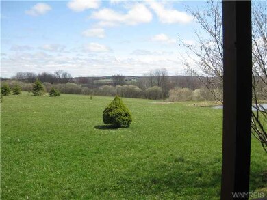Yard/Garden