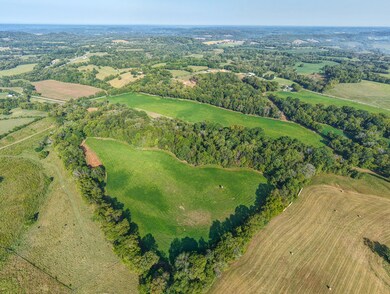 1 Craig Bridge Rd, Williamsport, TN 38487 - photo 4