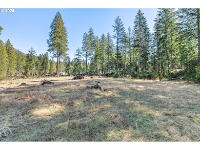 0 Alma Dr unit 155780752, McKenzie Bridge, OR 97413 - photo 3