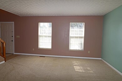 Plush carpet