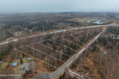 45907 S Jassue Dr, Talkeetna, AK 99676 - photo 2