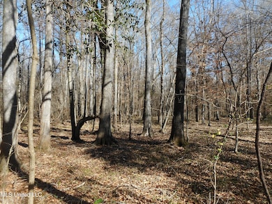 0 Joe Davis Dr, Brandon, MS 39042 - photo 2